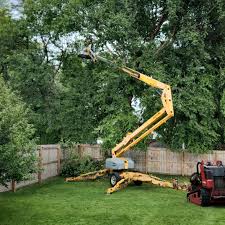 Best Tree Health Inspection  in Roslyn Estates, NY