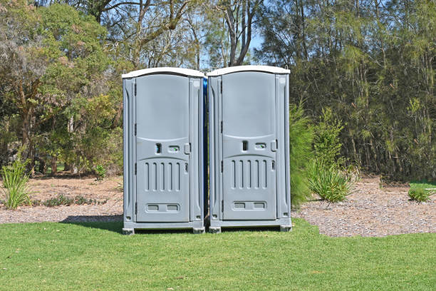 Best Pest Control for Lawns  in Roslyn Estates, NY